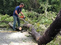 Best Hazardous Tree Removal  in Monroe North, WA